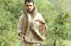 Photo of Sanjiv Gohil with a snake