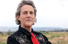 Photo of Temple Grandin